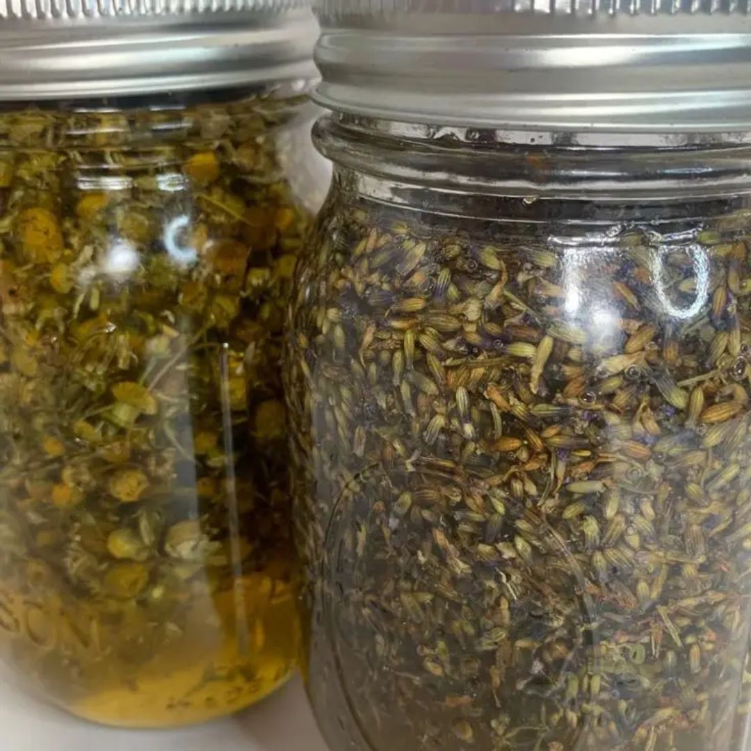 Tisane e fitoestratti concentrati per la mobilità articolare e la flessibilità
