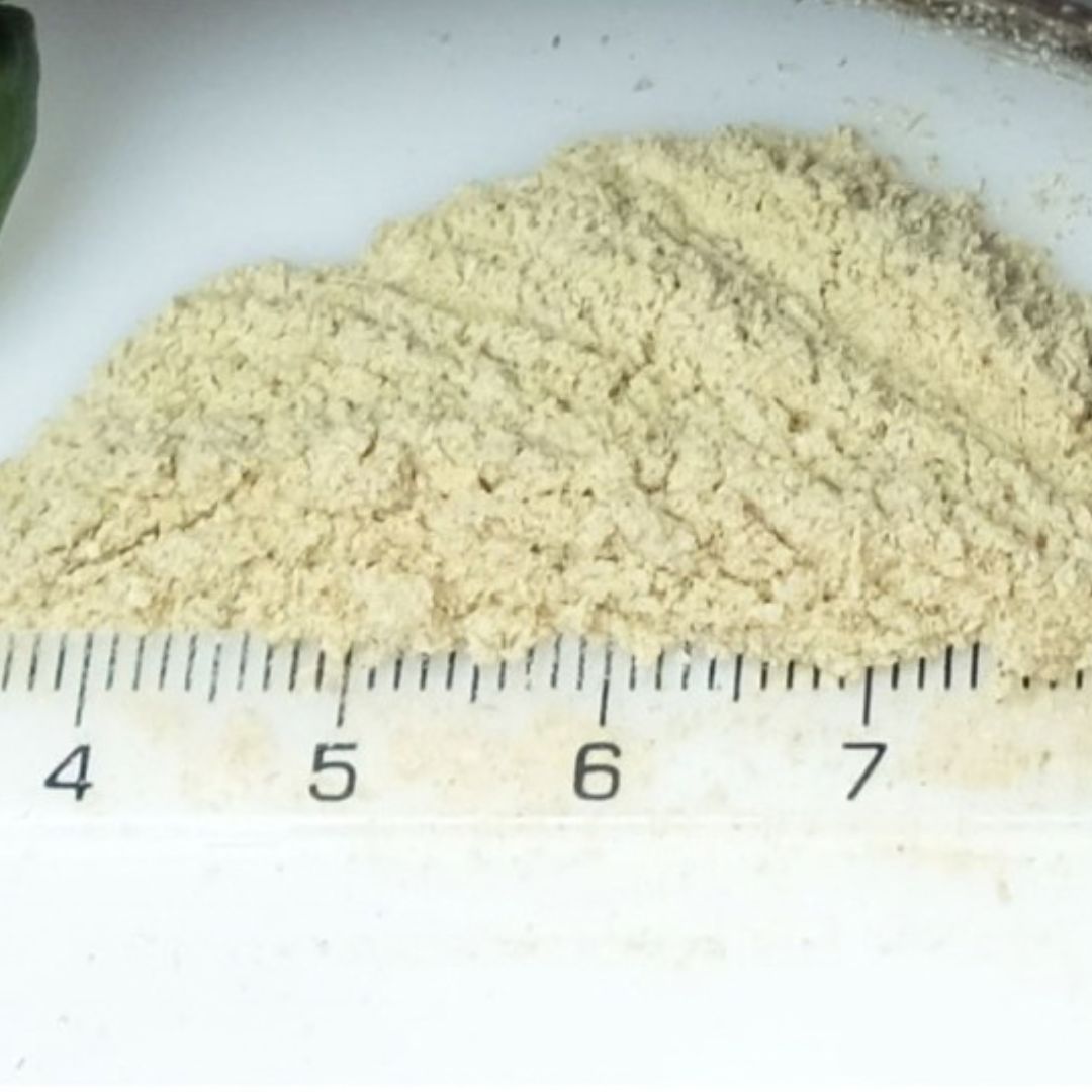 Erbe officinali purificanti e rimedi naturali per gambe snelle e scattanti